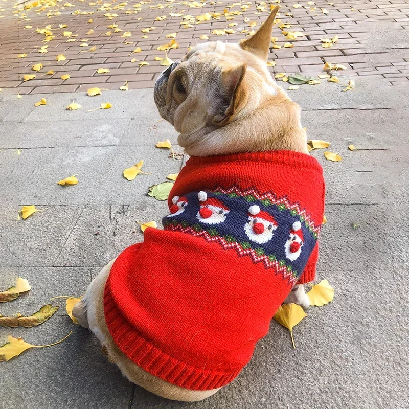 Winter Clothing In French - Pull de Noël pour chien, manteau