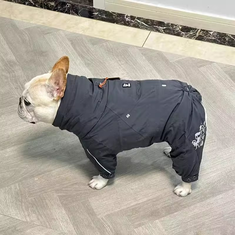 Winter Clothing In French - Bouledogue français vêtements combinaison hiver carlin