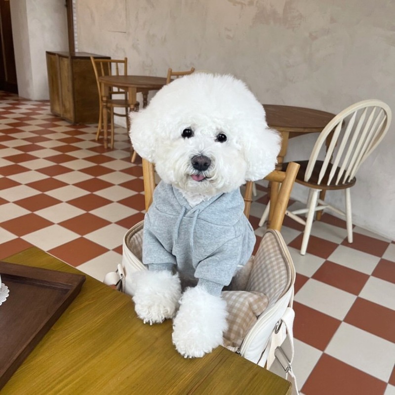 Sweat à capuche à motifs pour  - Winter Clothing In French avis et prix