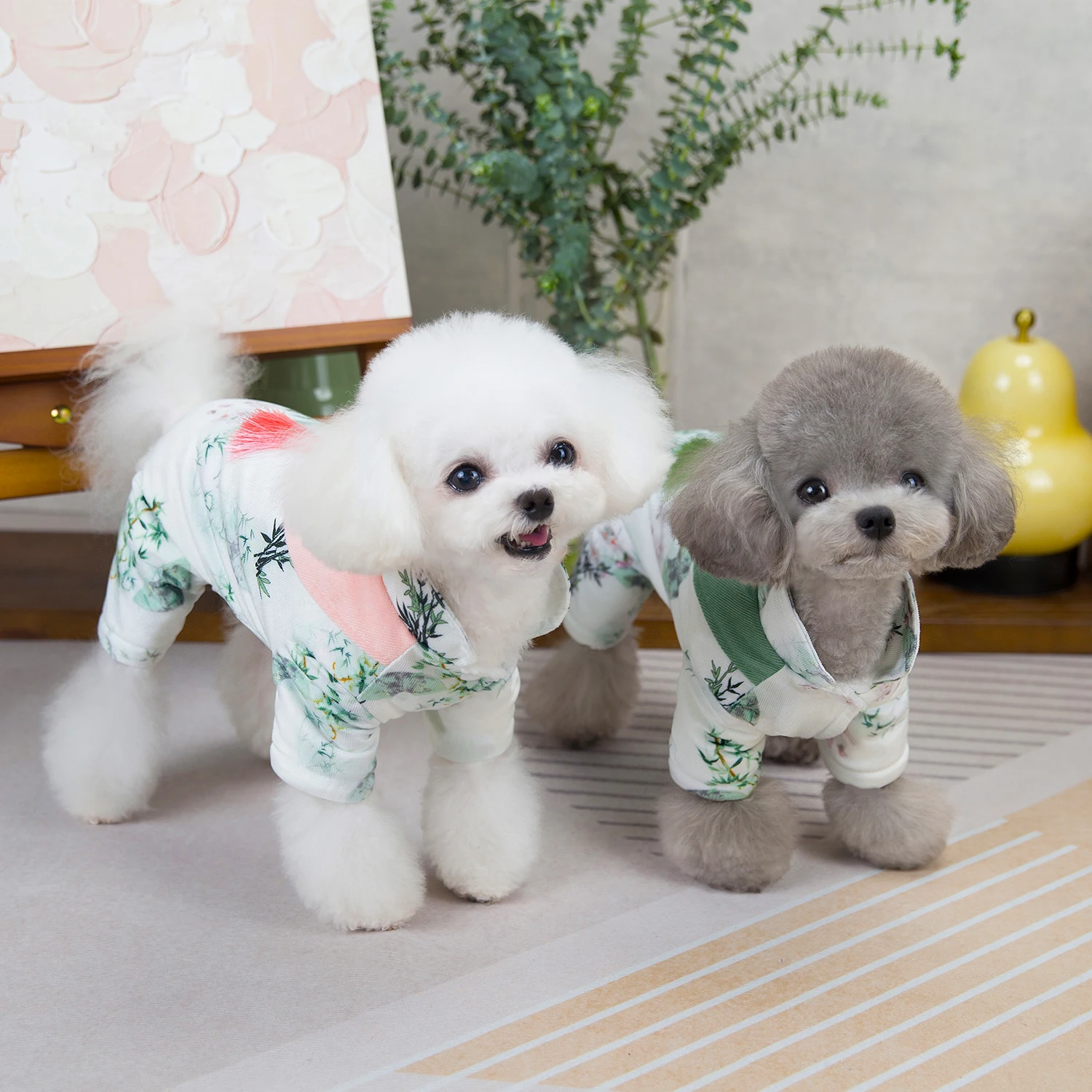 Vêtements d'hiver pour chien à - Winter Clothing In French avis et prix