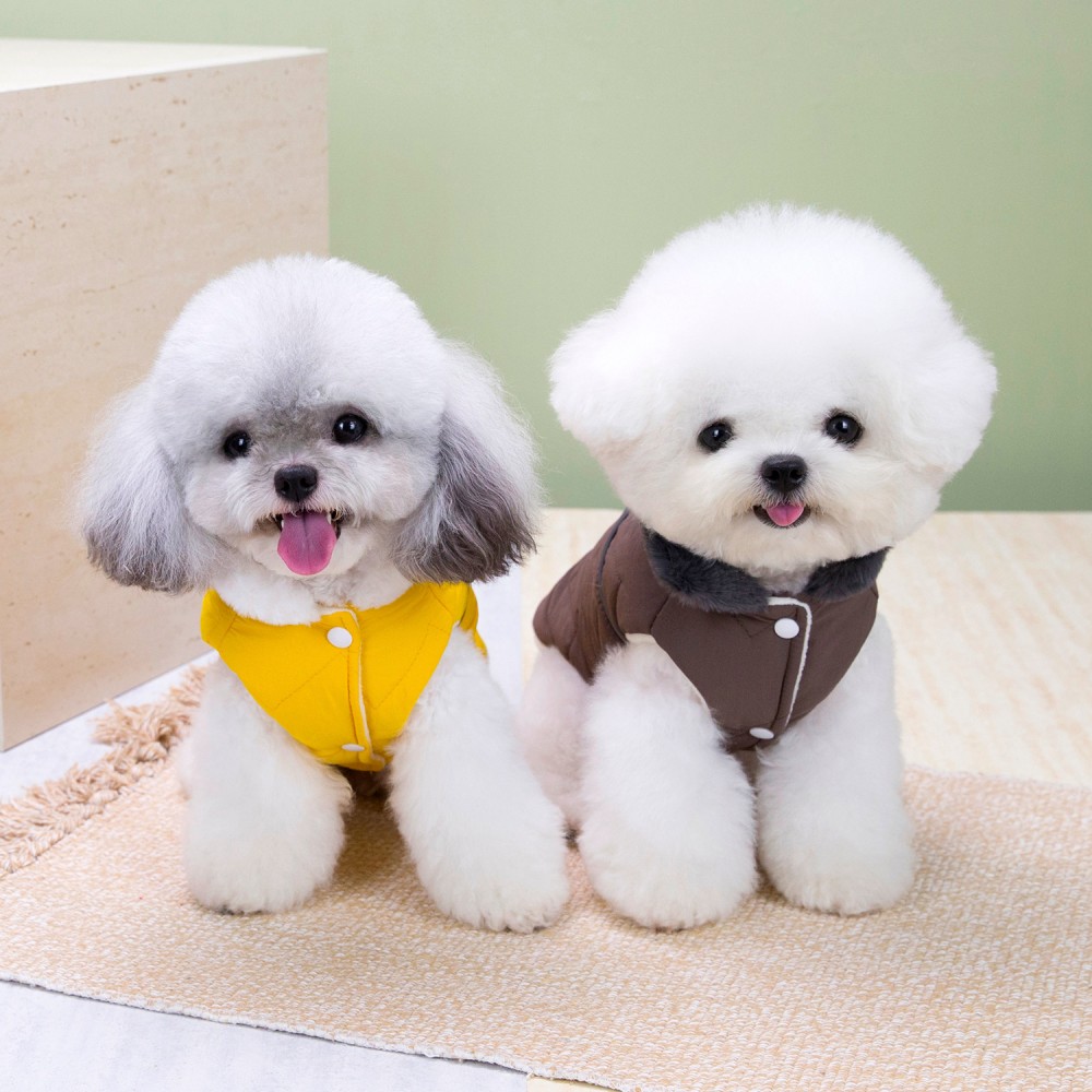 Veste d'hiver pour chien avec  - Winter Clothing In French avis et prix