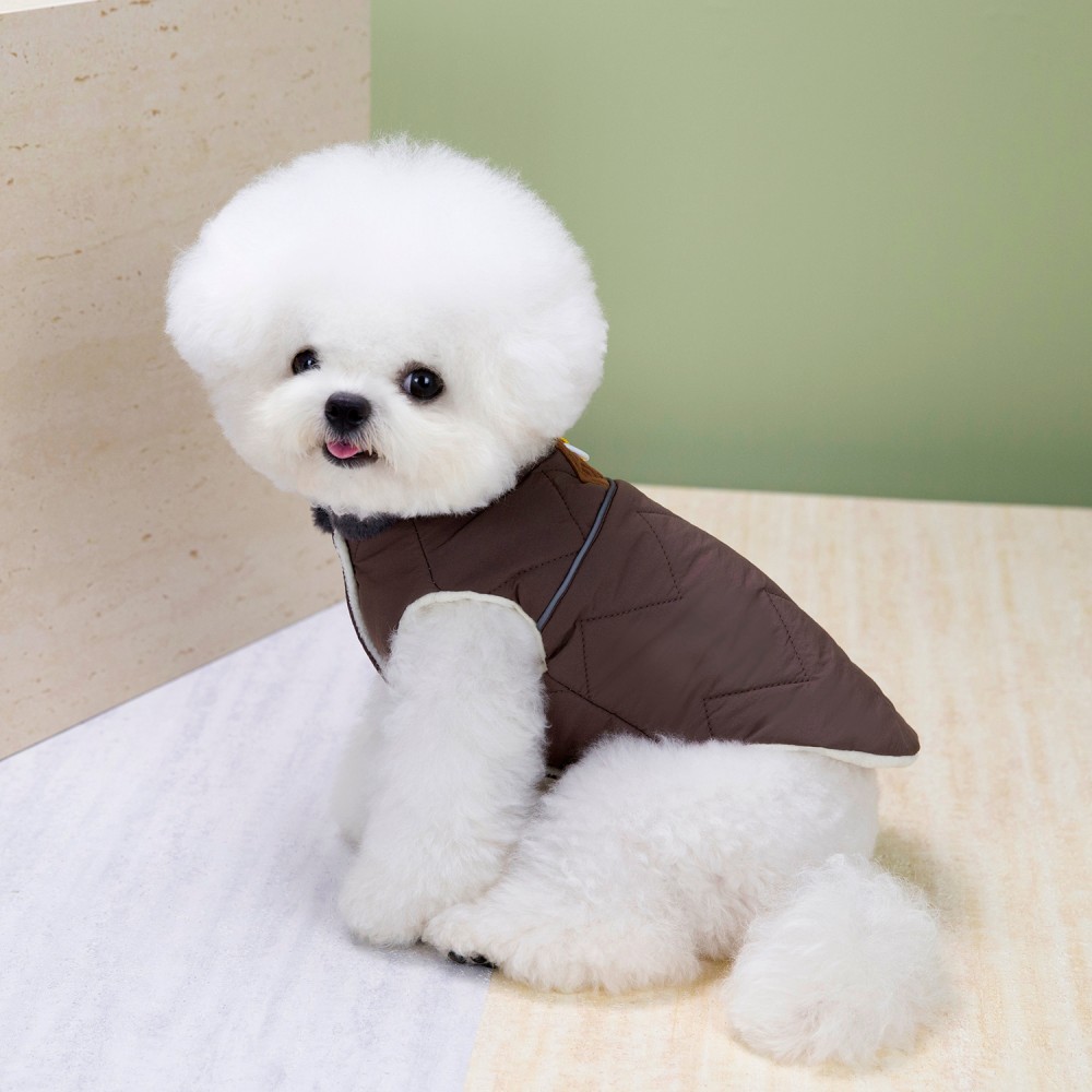 Veste d'hiver pour chien avec  - Winter Clothing In French avis et prix